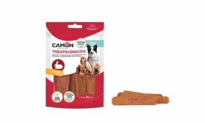 קאמון גרקי ארנב CAMON