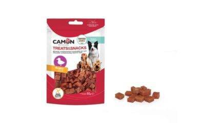 קאמון קוביות ברווז CAMON