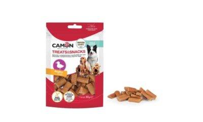 קאמון נגיסי ברווז CAMON