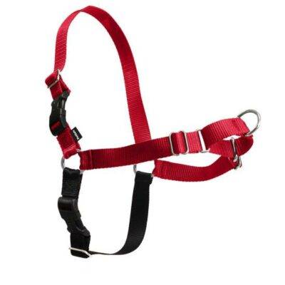 איזי ווק רתמה נגד משיכות לכלבים Easy Walk מידה XS
