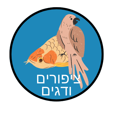 ציפורים ודגים