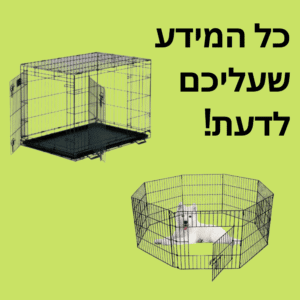 גדר לכלב