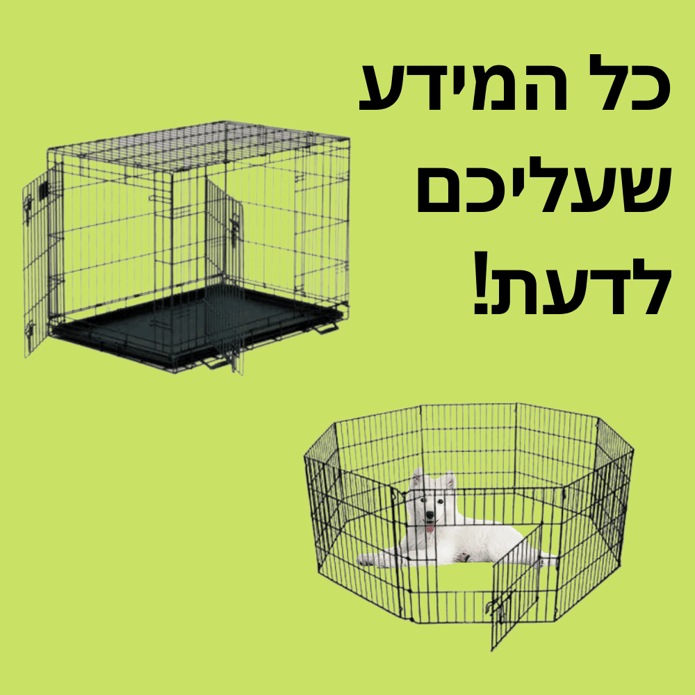 גדר לכלב